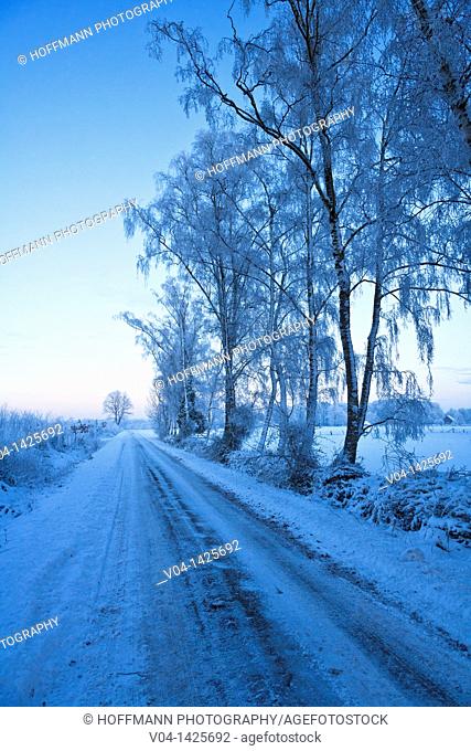 Frosted trees and icy road in winter, Lower Saxony, Germany, Europe