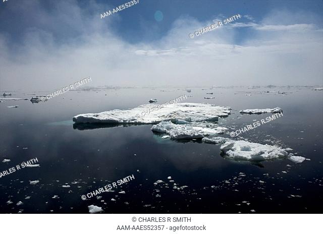 Tabular Icebergs in the South Weddell Sea, Antarctica 20081231 ()