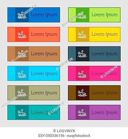 Grill, chicken, meat, barbecue, spice icon sign. Set of twelve rectangular, colorful, beautiful, high-quality buttons for the site