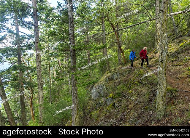 Senior women (model released) hiking through the forest on the Obstruction Pass State Park Trail on Orcas Island in the San Juan Islands in Washington State