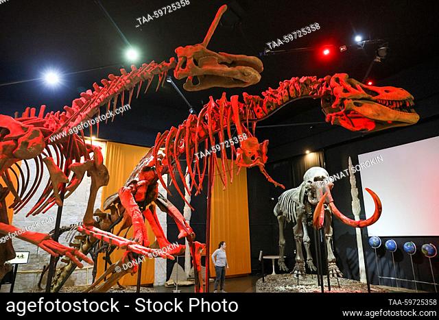RUSSIA, PERM - JUNE 10, 2023: Replicas of a Tsintaosaurus skeleton (L) and a Tarbosaurus skeleton are on display at the Museum of Perm Prehistory