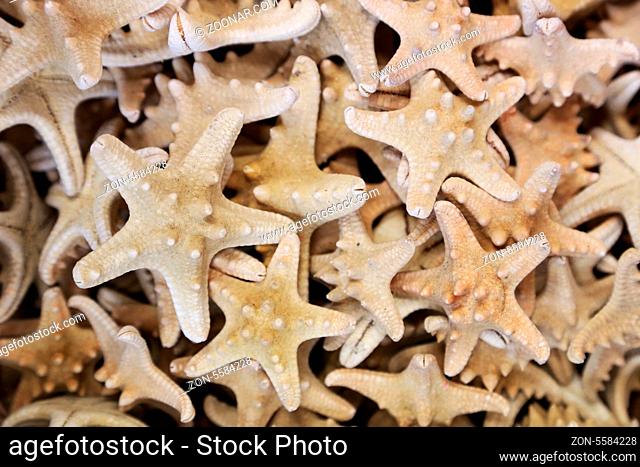 Background of sea stars with short beams