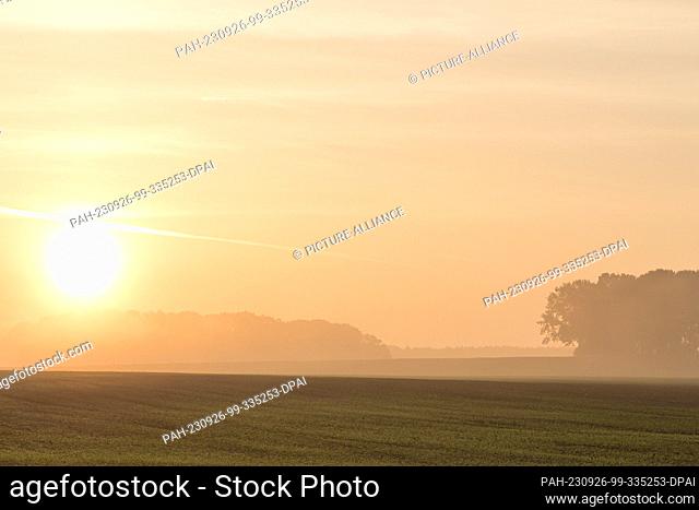 26 September 2023, Brandenburg, Hänchen: After a cool night, the sun breaks through the early morning fog in the Spree-Neiße district in southern Brandenburg