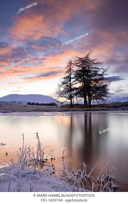 Loch Tulla and larch trees at sunset, Argyll, Scotland, December