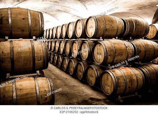 Winemaking in the largest wine region of Catalonia, the Penedes. Barcelona, Spain
