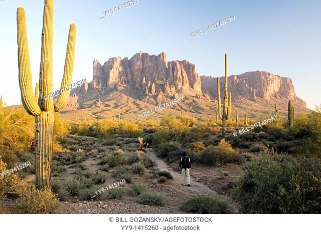 Hiker on trail to Superstition Mountains - Lost Dutchman State Park - Apache Junction, Arizona