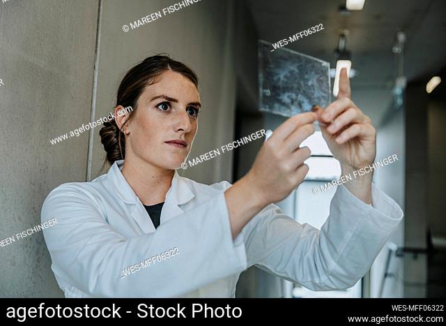 Female scientist examining human brain glass sample while standing at clinic corridor