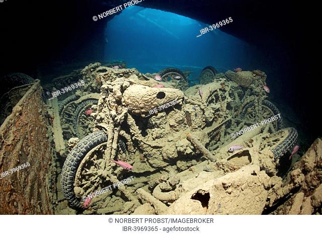 Northon 16 H motorcycle, cargo on the shipwreck of the SS Thistlegorm, Red Sea, Shaab Ali, Sinai Peninsula, Egypt