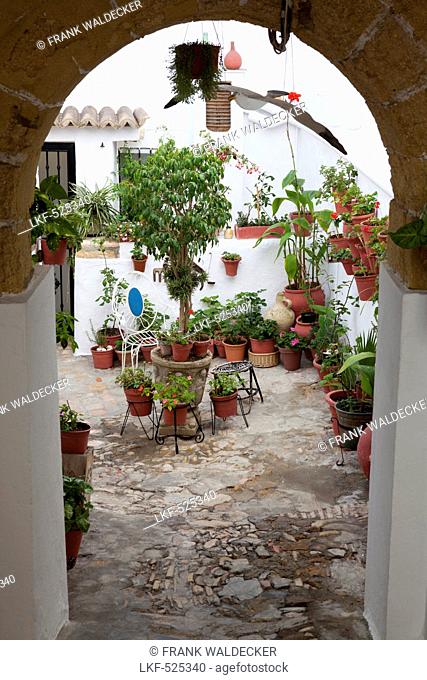 Patio in the historical town of Vejer de la Frontera, Cadiz Province, Andalusia, Spain, Europe