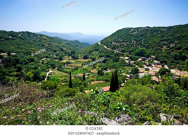 Olive orchards in the hills - Corfu island, Greece
