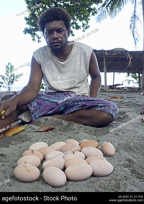 Savo Islander with eggs of Melanesian Megapode Megapodius eremita harvested at nesting ground, Savo Island, Solomon Islands, South Pacific