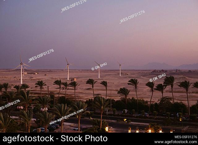 Egypt, Palm trees along desert road with wind farm in background
