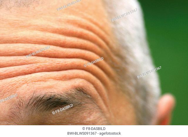 wrinkled brow, Germany