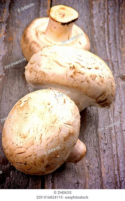 Three Big Raw Freshly Picked Champignons isolated Rustic Wooden background