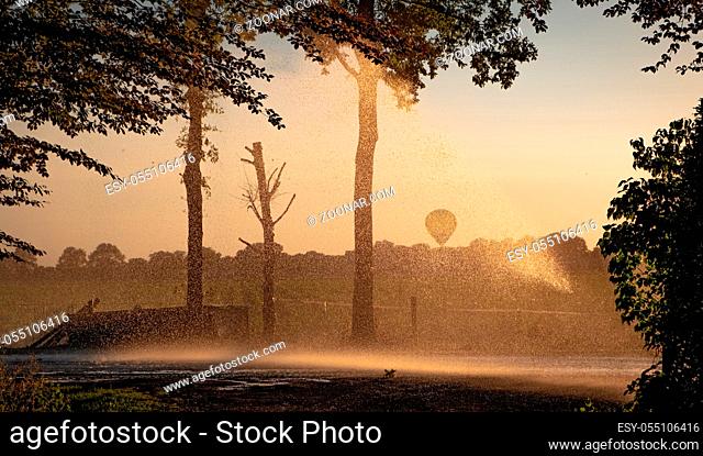 Silhouette of agricultural irrigation system watering cornfield at sunset. Cornfield irrigation using the center pivot sprinkler system