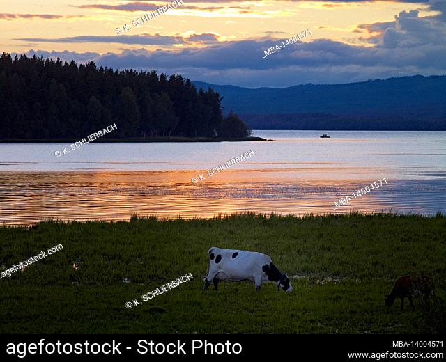 europe, sweden, dalarna, orsa, evening mood at lake orsa