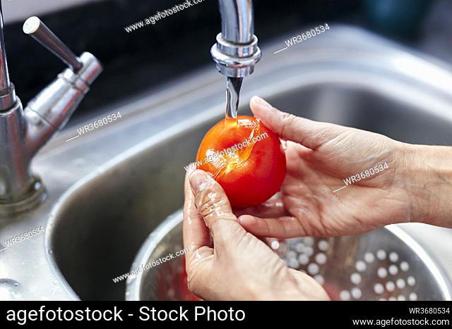 Washing tomato in sink