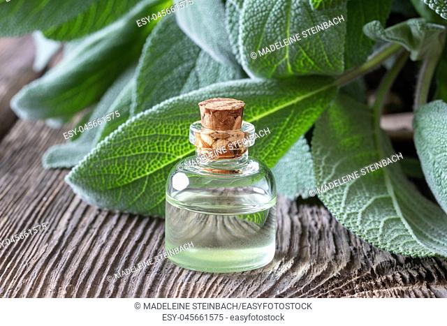 A bottle of essential oil with fresh sage leaves