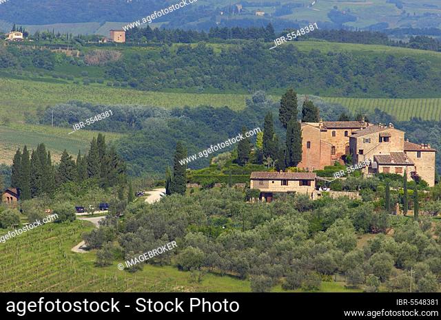 San Gimignano, Vineyards, Tuscany, Italy, Province of Siena, UNESCO World Heritage Site, Europe