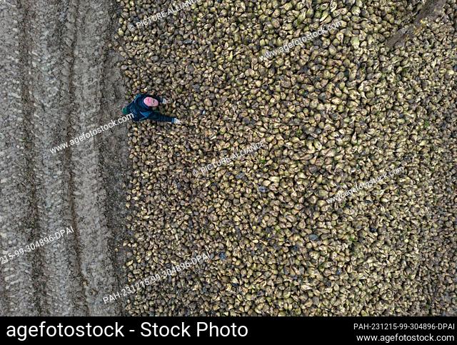PRODUCTION - 13 December 2023, Baden-Württemberg, Hemmingen: A farmer stands next to a pile of sugar beet (aerial view with a drone)