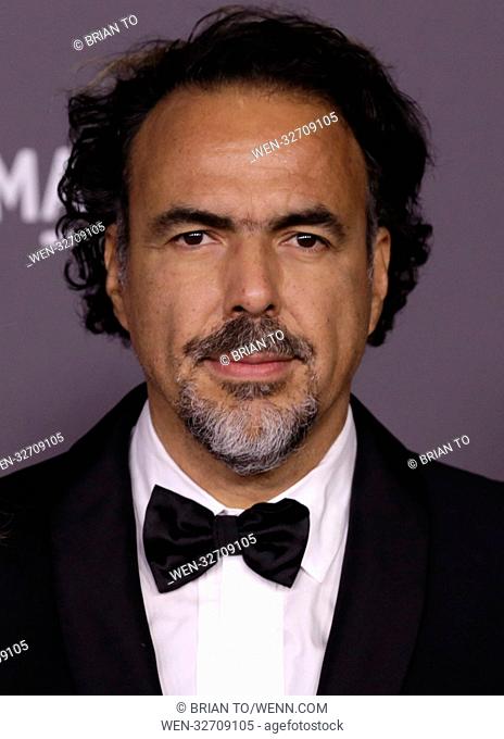 Celebrities attend 2017 LACMA Art + Film Gala Honoring Mark Bradford and George Lucas presented by Gucci at LACMA. Featuring: Alejandro González Iñárritu Where:...