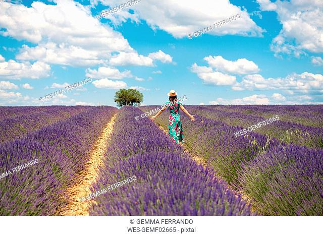 France, Provence, Valensole plateau, back view of woman standing among lavender fields in summer