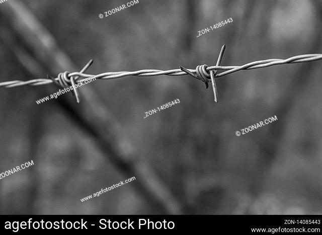 iron and old barbed wire stretched against a blurred forest background toned photo