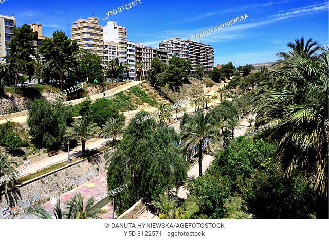 Modern part of Elche city on the bank of Vinalopo river, facing Palmeral - date palm orchards - designated by UNESCO as a World Heritage Site, Elche, Elx