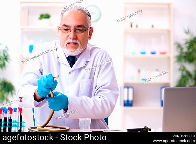 Old chemist holding snake at science laboratory