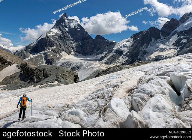 Switzerland, Valais, Haute Route Chamonix Zermatt, mountaineers crossing the Stockji glacier with the Matterhorn - Zmuttgrat, west face and Liongrat