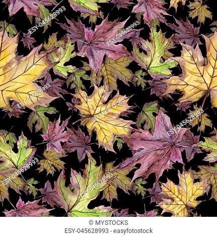Maple leaves in a watercolor style isolated. Seamless background pattern. Fabric wallpaper print texture. Aquarelle leaf for background, texture