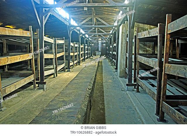 Bunk Beds in Living Quarters Birkenau Extermation Camp Auschwitz Oswiecim Concentration Camp Holocaust Poland