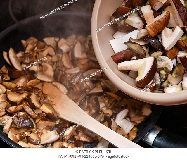 Chopped bay bolete mushrooms frying in a pan with onions in Sieversdorf, Germany, 26 September 2017 Photo: Patrick Pleul/dpa-Zentralbild/ZB