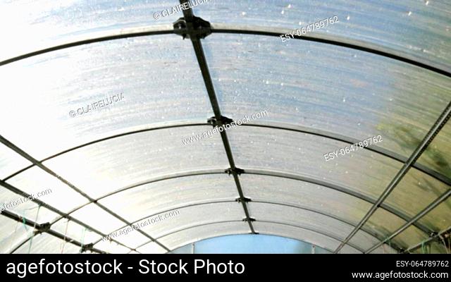 4k video, polycarbonate greenhouse in a private garden. Inside view close-up of the roof