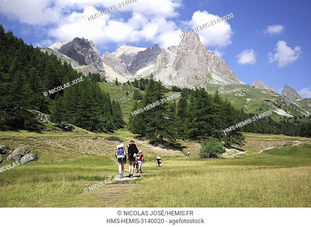 France, Hautes Alpes, Nevache, valley of La Claree, view on the Pointe des Cerces (3097m)