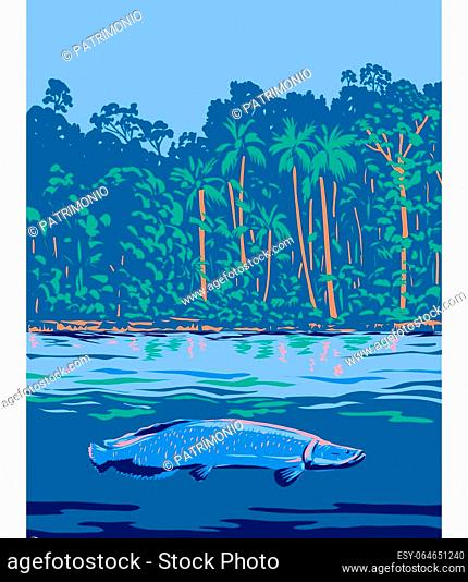 WPA poster art of arapaima, pirarucu or paiche, a bonytongue in the genus Arapaima native to the Amazon River or Río Amazonas in South America done in works...