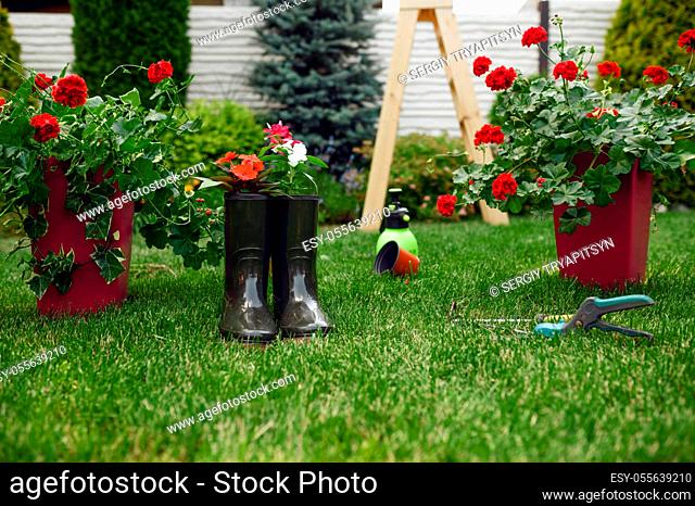 Gardening tools and rubber boots, nobody. Gardener or florist equipment. Watering spray, hoe and pruners on the grass near the flower bed and flowerpots