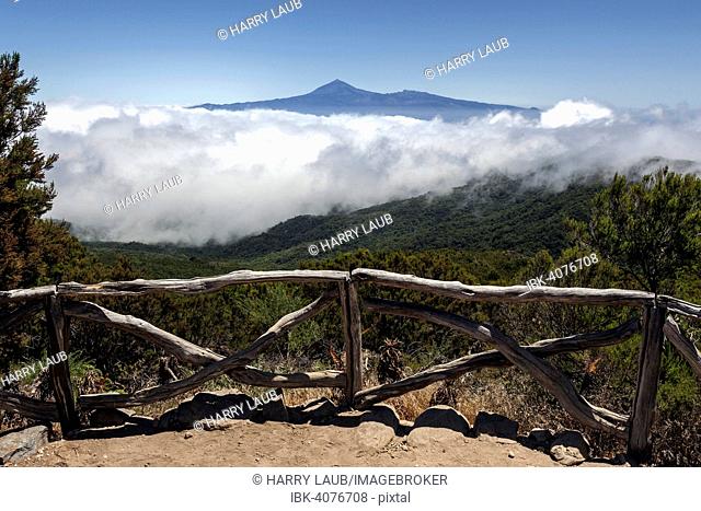 View from below the Garajonay onto Bosque del Cedro, Passat clouds and Mount Teide on Tenerife, La Gomera, Canary Islands, Spain