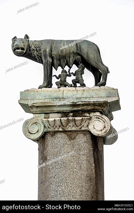 Roman she-wolf, Rome, Lazio, Italy