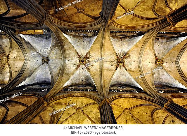 Interior, reticulated vaulting, nave ceiling, Gothic cathedral of La Catedral de la Santa Creu i Santa Eulalia, Barcelona, Catalonia, Spain, Europe