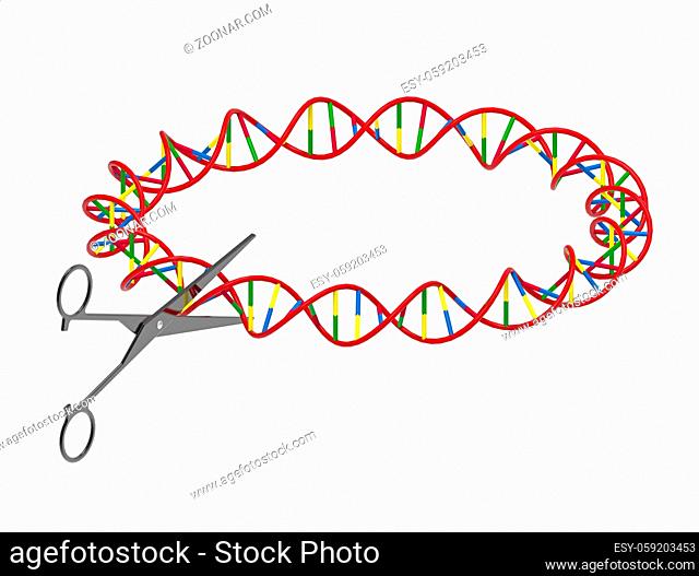 Scissors cutting DNA strand, genetic engineering, 3D render, isolated on white