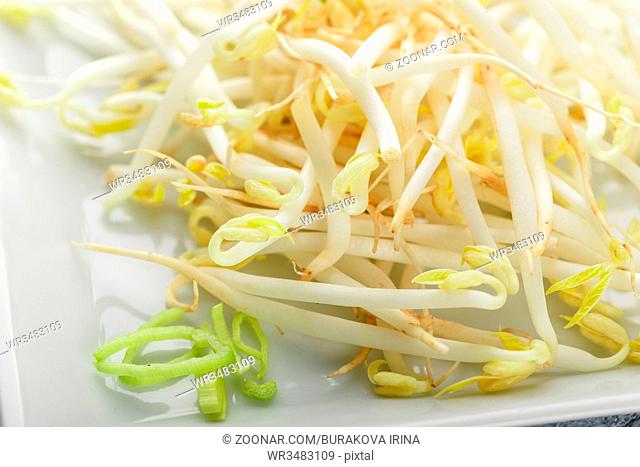 Fresh bean sprouts on white square plate and chopsticks. Concept of healthy foods, vegetarian food. Close up
