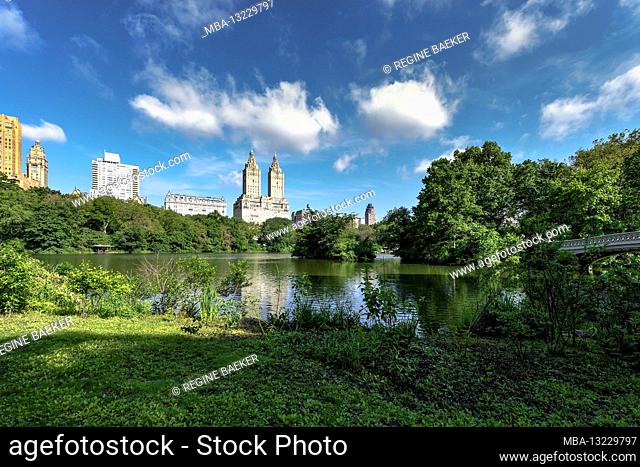 In summer in Central Park in New York with Bow Bridge over Central Parl lake