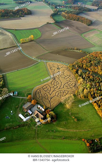 Aerial shot, farm, corn maze, Cappenberg, Luenen, Ruhr district, North Rhine-Westphalia, Germany, Europe