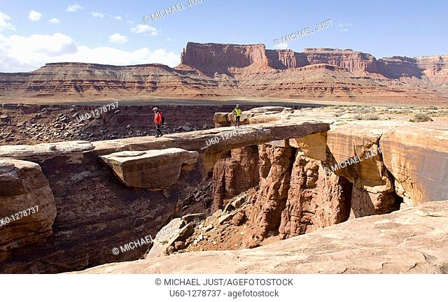 Two hikers wander onto the flat Musselman Arch along the White Rim Road canyonlands national Park, Utah
