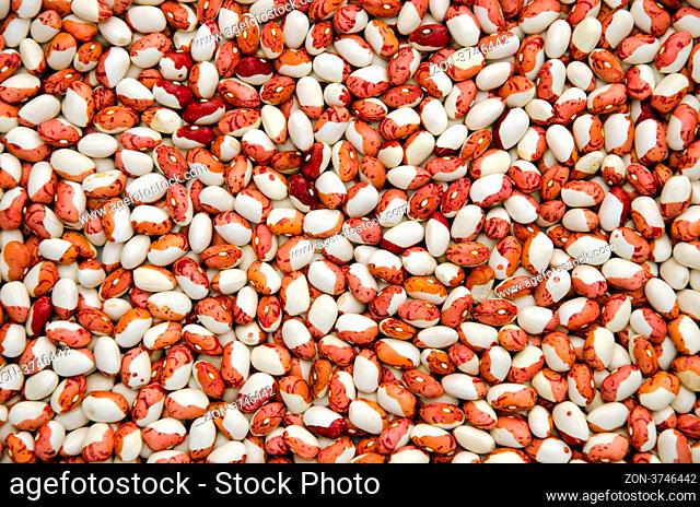 Dried colorful beans. Healthy nutrition ecologic food background
