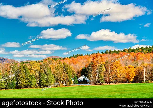 Autumn landscape with house in forest in Vermont, USA