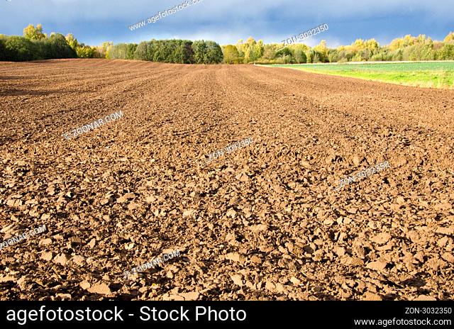 Freshly plowed agricultural field surrounded by forest