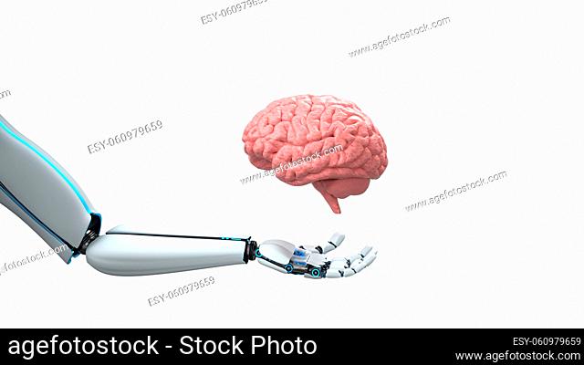 Humanoid robot hand with human brain isolated on white. 3d illustration