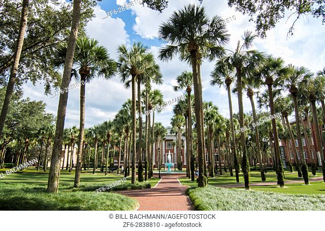 Deland Florida Stetson University fountain and Palm Court with palm trees peaceful in small town education,